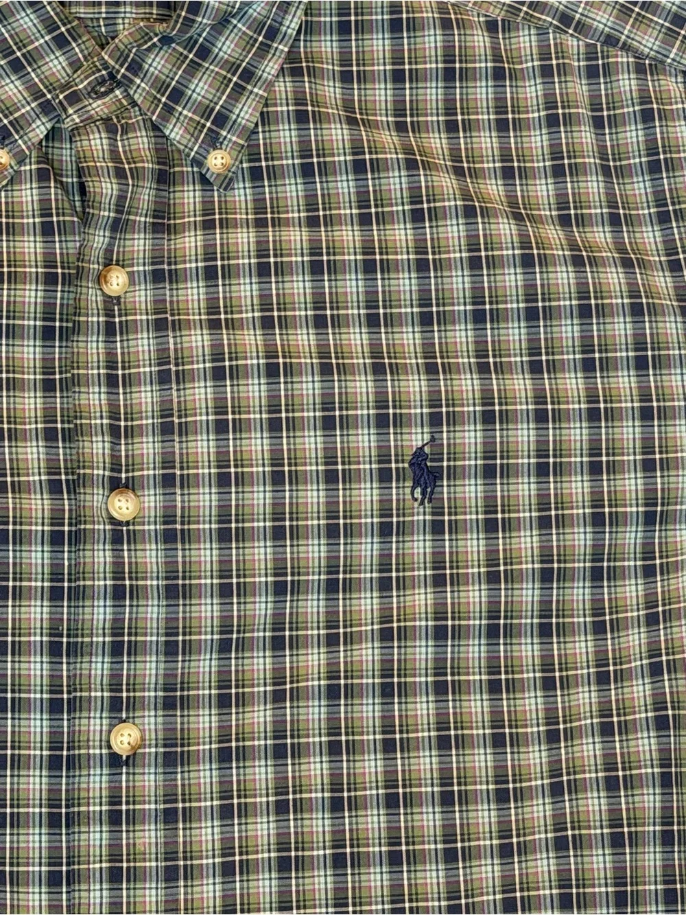 Polo by Ralph Lauren Blue and Green Plaid Button-Down Shirt